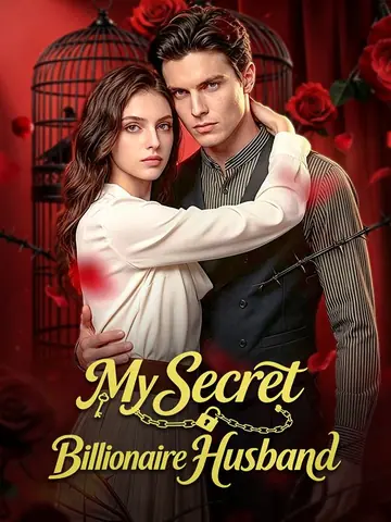 My Secret Billionaire Husband