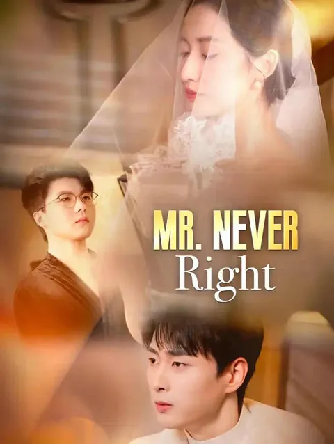 Mr. Never Right
