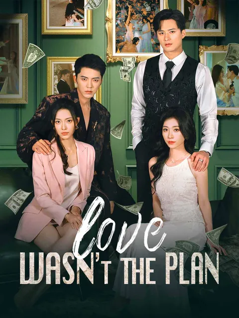 Love Wasn't the Plan