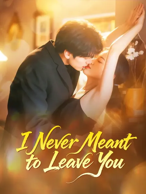 I Never Meant to Leave You