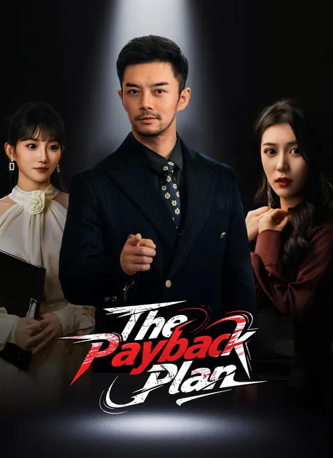 The Payback Plan