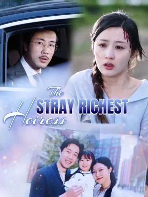 The Stray Richest Heiress