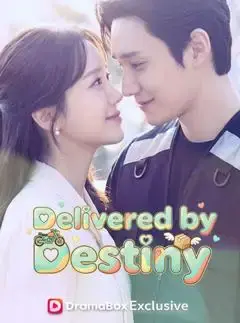 Delivered by Destiny (DUBBED)