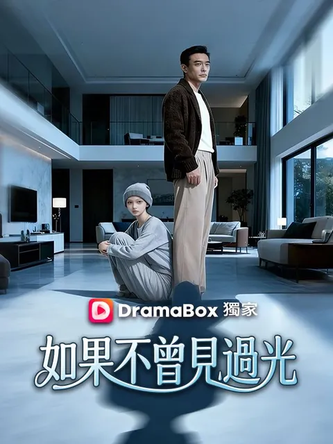 如果不曾見過光