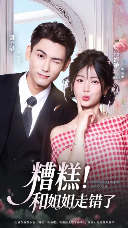 新婚夜，我和姐姐互換新郎