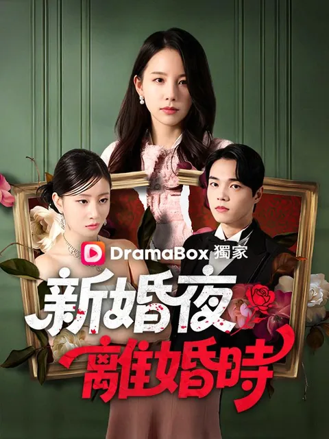 新婚夜離婚時