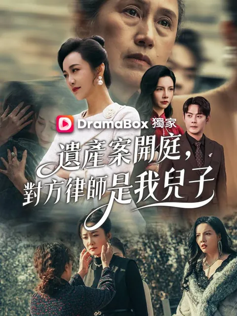 遺產案開庭，對方律師是我兒子