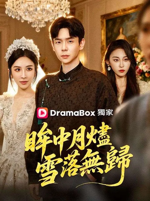 眸中月燼，雪落無歸