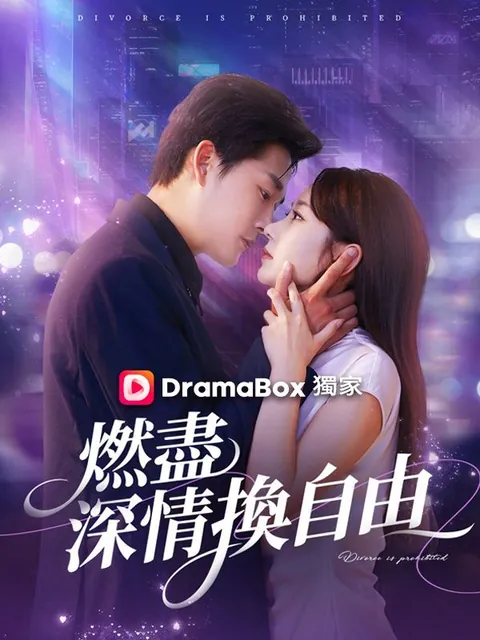 燃盡深情換自由