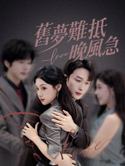 舊夢難抵晚風急