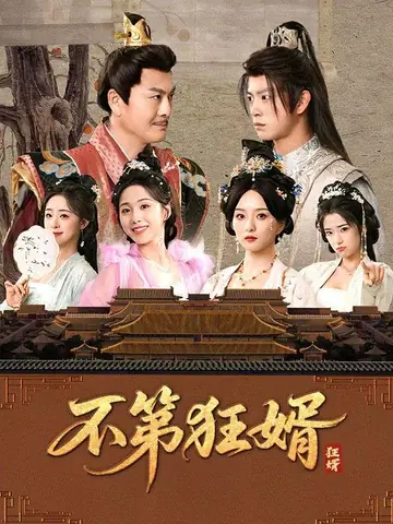不第狂婿
