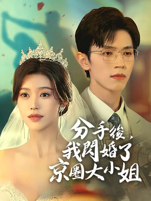 分手後，我閃婚了京圈大小姐