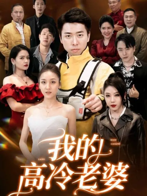 我的高冷老婆