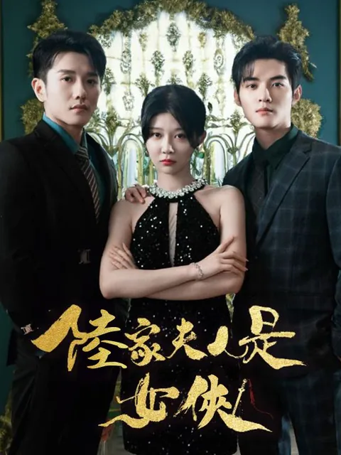 陸家夫人是女俠