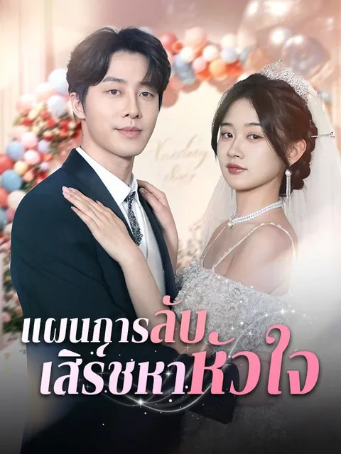 แผนการลับ เสิร์ชหาหัวใจ