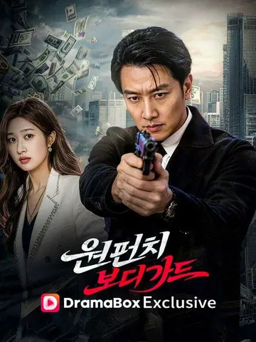 원펀치 보디가드