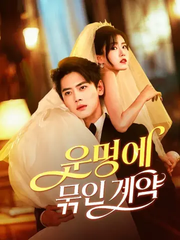 운명에 묶인 계약