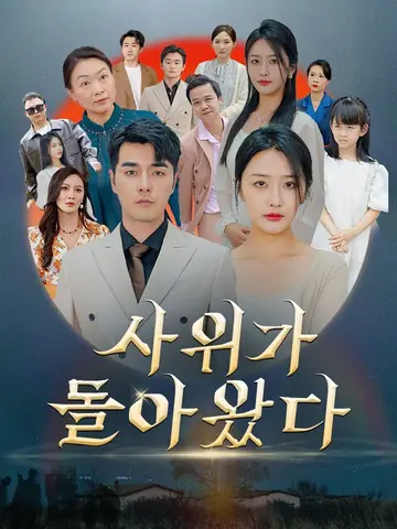 사위가 돌아왔다(더빙)