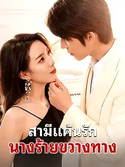 สามีแค้นรัก นางร้ายขวางทาง
