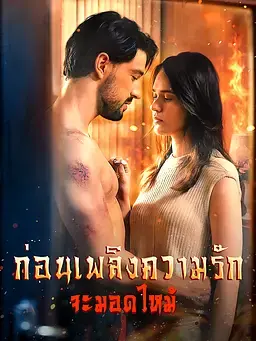 ก่อนเพลิงความรักจะมอดไหม้