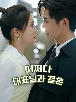 어쩌다 대표님과 결혼