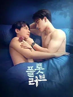 플롯 러브