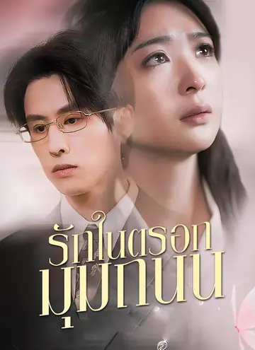 รักในตรอกมุมถนน