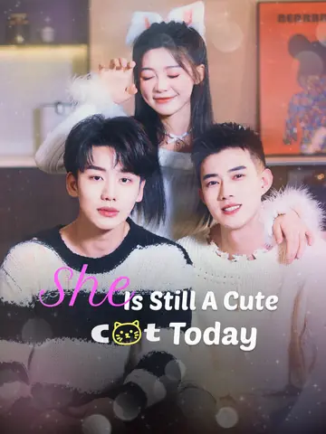 She Is still a Cute Cat Today