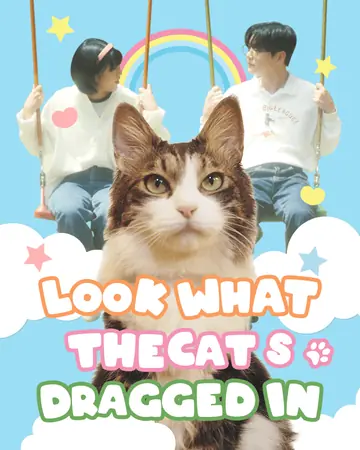 เก็บหางหน่อย คนเห็นหมดแล้ว