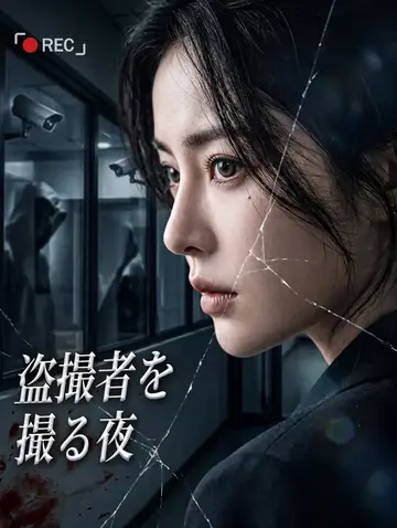 盗撮者を撮る夜