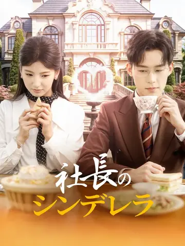 社長のシンデレラ(吹き替え)