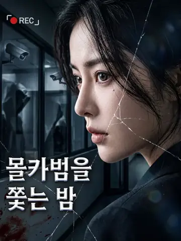 몰카범을 쫓는 밤