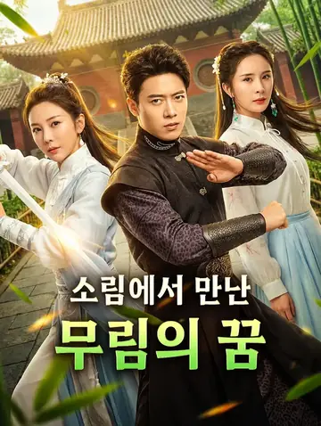 소림에서 만난 무림의 꿈(더빙)