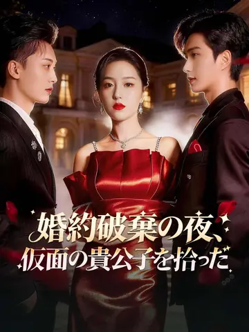 婚約破棄の夜、仮面の貴公子を拾った
