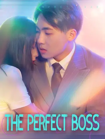THE PERFECT BOSS