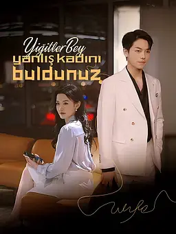 Yiğitler Bey, yanlış kadını buldunuz