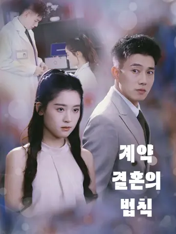 계약 결혼의 법칙