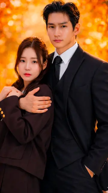 ดาวตกและซีอีโอผู้ซ่อนเร้น