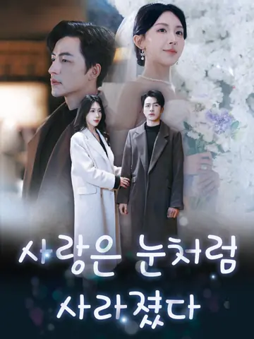사랑은 눈처럼 사라졌다